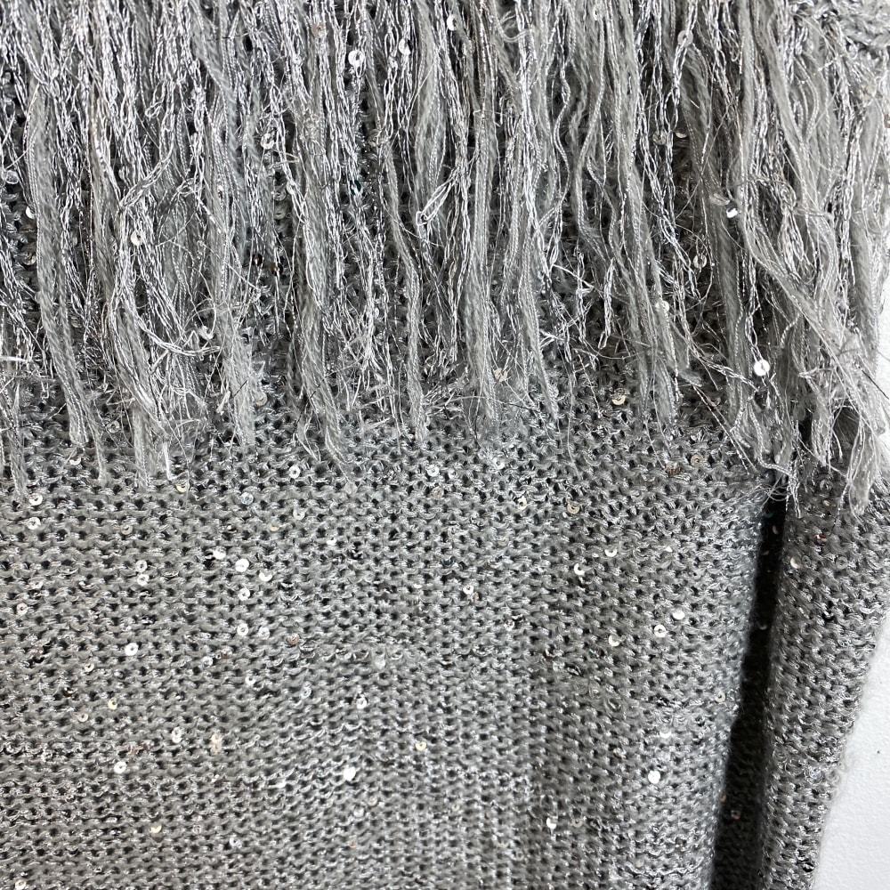 Lane Bryant Silver Fringe Tank Plus Size 22W Metallic Knit Top Sleeveless Silver - Picture 4 of 7